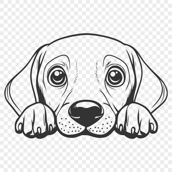 A breed-specific Weimaraner dog illustration.