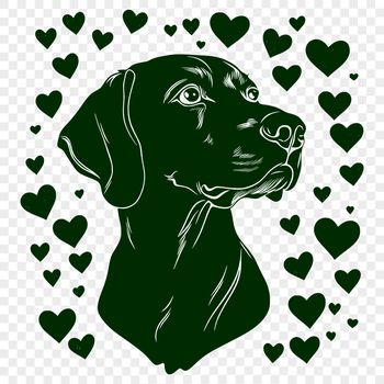 A close-up of a Weimaraner dog's head with love hearts surrounding its face.