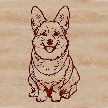 A vector illustration of a Welsh Corgi sitting on its haunches, suitable for personal or commercial projects.