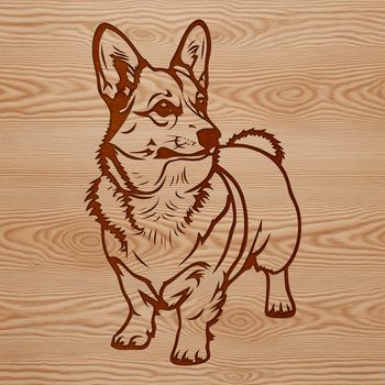 An isolated vector graphic representation of a Welsh Corgi in profile.