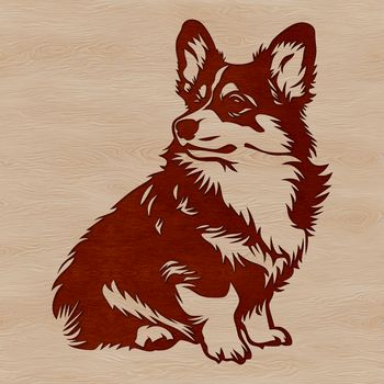 A sitting Welsh dog breed with a long body and short legs.