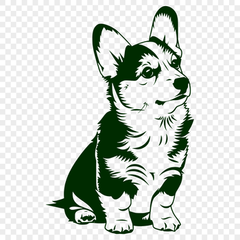 A full-body illustration of a Welsh Corgi sitting on its haunches, suitable for use in vector design.