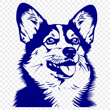 A realistic illustration of a Welsh Corgi's head, designed as vector art.
