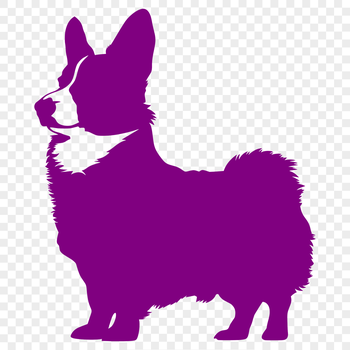 A standing full-body illustration of a Welsh Corgi breed dog, suitable for various uses.