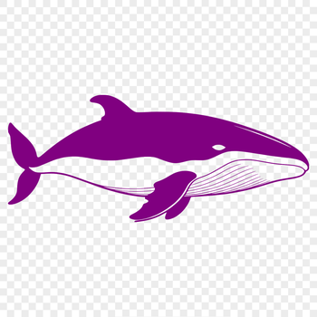 A detailed digital illustration of a whale in vector format.