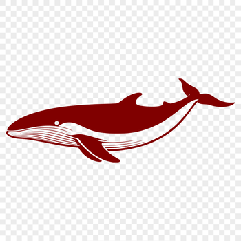 A detailed vector illustration of a whale in its natural habitat.