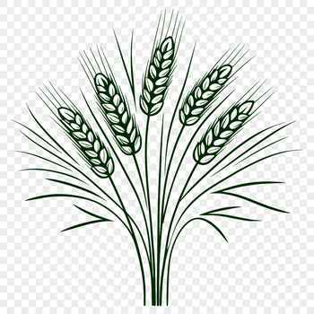 Illustrative wheat icon in vector format.