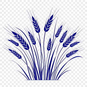 An SVG graphic of a single wheat stalk, suitable for various designs and projects.