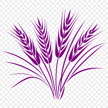 A simple vector illustration of a wheat plant, suitable for commercial or personal use.