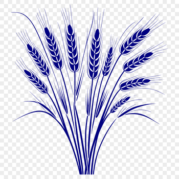 A simple vector illustration of a single wheat plant.