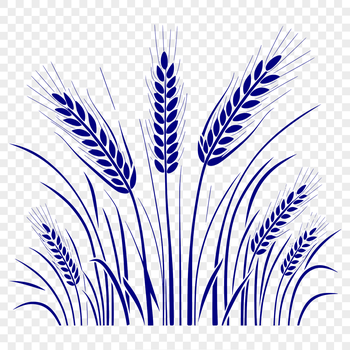An illustration of a single stalk of wheat with grain heads.