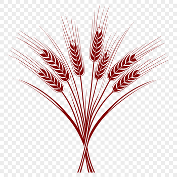 A simple vector illustration of a single stalk of wheat with leaves and grain.