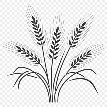A simple illustration of a wheat plant.