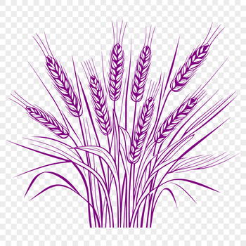 A graphic illustration of a single wheat plant with detailed foliage and grain stalks.