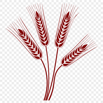 A stylized illustration of wheat grain with smooth lines, suitable for vector art.
