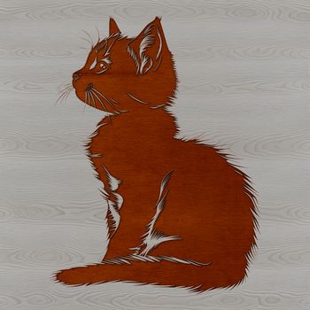 A sitting domestic cat with large eyes and fluffy fur.