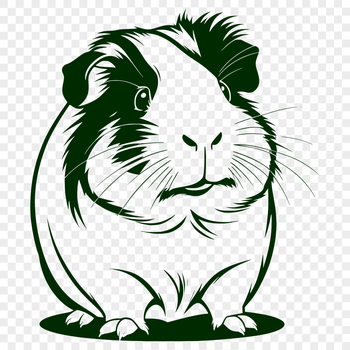 An SVG graphic representation of a pet guinea pig suitable for various digital designs.