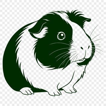 A detailed illustration of a guinea pig, suitable for digital printing or laser cutting.
