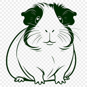 Illustration of a guinea pig, a popular household pet, available in vector format.