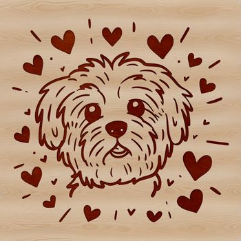 A small white dog with a sweet expression and heart-shaped eyes.