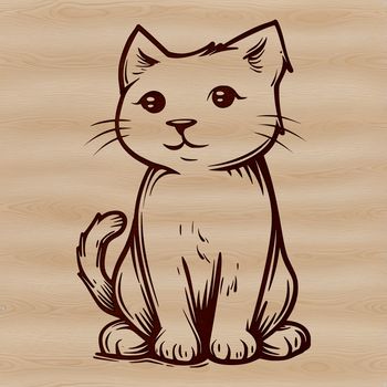 A sitting kitten with a round face and fluffy fur.