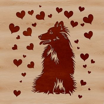 A friendly Shetland sheepdog sitting on its hind legs.