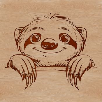 A cartoon sloth peeking out from behind a tree branch, made in vector art format.