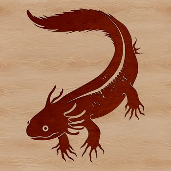 An illustration of a salamander with feathery gills, representing the axolotl species.
