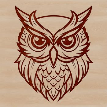 A detailed illustration of an owl's head featuring sharp facial features and soft feathers.