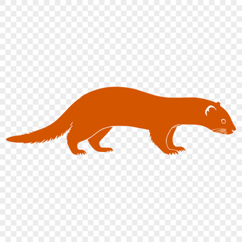 A detailed vector illustration of a ferret in profile.