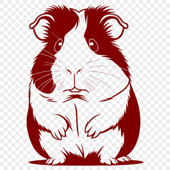 A high-quality vector illustration of a Guinea Pig suitable for printing or digital use.