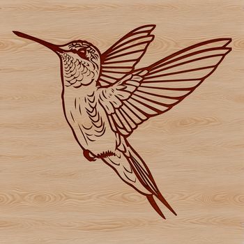 A colorful hummingbird in flight, showcasing its distinctive features.
