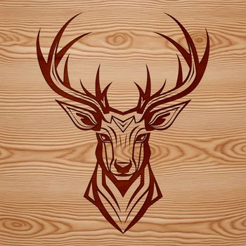 Close-up illustration of a deer's head with detailed features, suitable for vector design.