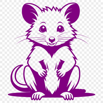 A illustration of a marsupial possum in a vector format.
