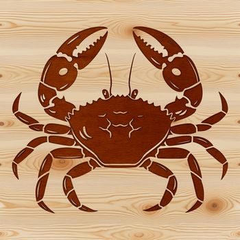 A detailed illustration of a crab, featuring a realistic rendering of its shell and legs.