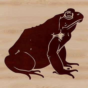 A digital illustration of a wild toad in vector format