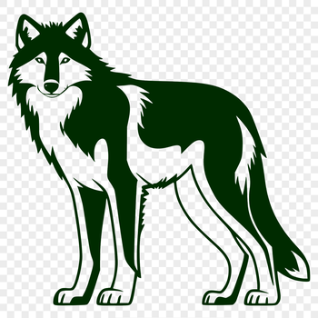 A detailed illustration of a wolf's full body in standing position, suitable for vector design.