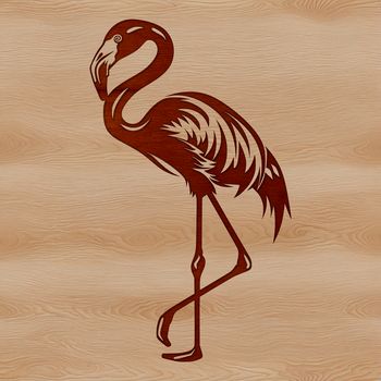 A single flamingo standing in shallow water with one leg bent.