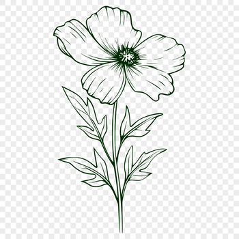 A detailed illustration of a wild flower with intricate petals and lines.