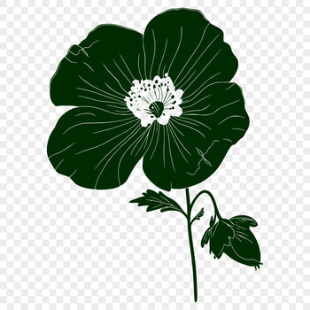 Illustrated vector wild flower design, suitable for digital crafts and DIY projects.