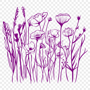 An illustration of a single wild flower in bloom with green stem and leaves.
