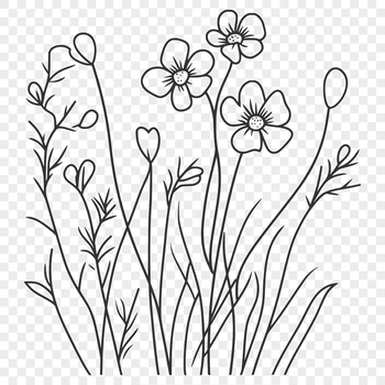 A digital illustration of a wild flower in bloom, suitable for vector art projects and designs.