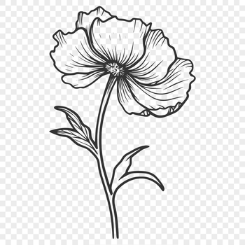 A colorful illustration of a wild flower in a natural setting.
