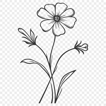 A simple illustration of a wild flower in full bloom, perfect for vector art projects.