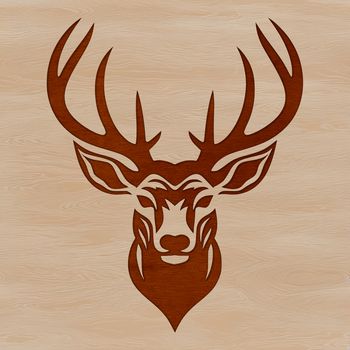 An illustration of a deer's head with details of its facial features.