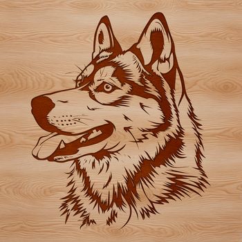 A digital illustration of a Siberian Husky's head with details suited for cutting machine stencils.