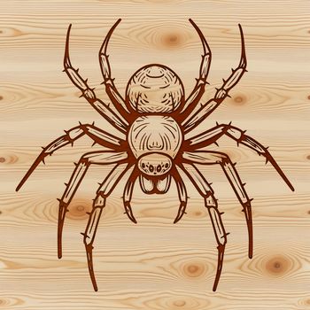 A graphic illustration of a witch's cauldron with a spider crawling on the side, surrounded by autumnal elements and symbols.