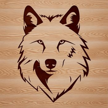 A detailed illustration of a wolf's head with realistic features, suitable for vector art projects.