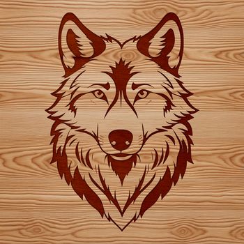 Vector illustration of a wild animal's head, a wolf.