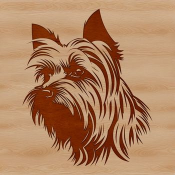 Illustration of a Yorkshire terrier's facial features and body in a vector format.